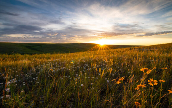 Aire de conservation des prairies patrimoniales Old Man on His Back, Saskatchewan