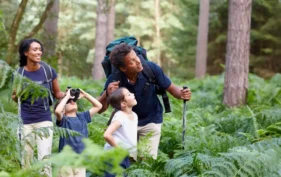Une famille en randonnée dans une forêt