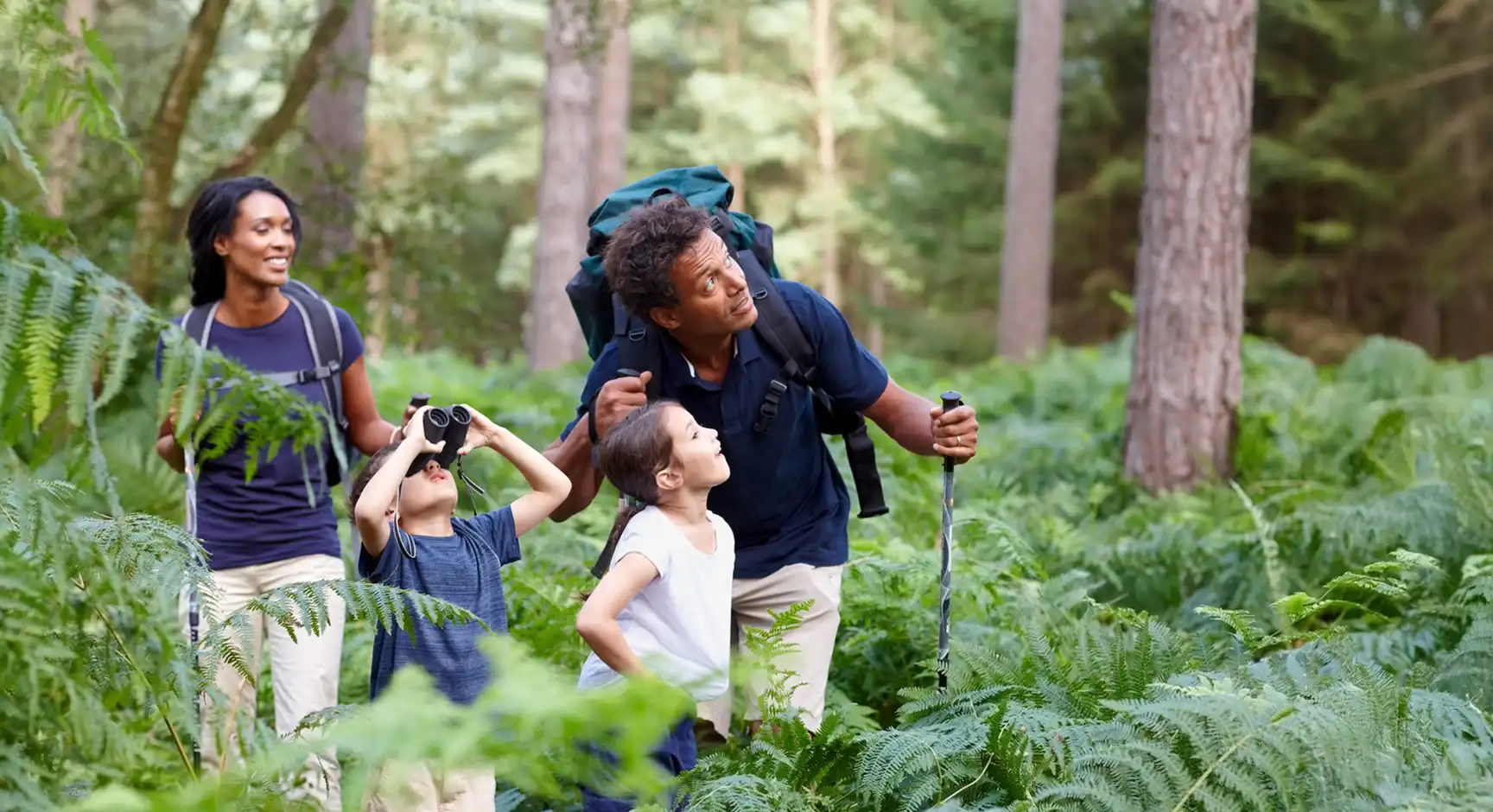 Une famille en randonnée dans une forêt