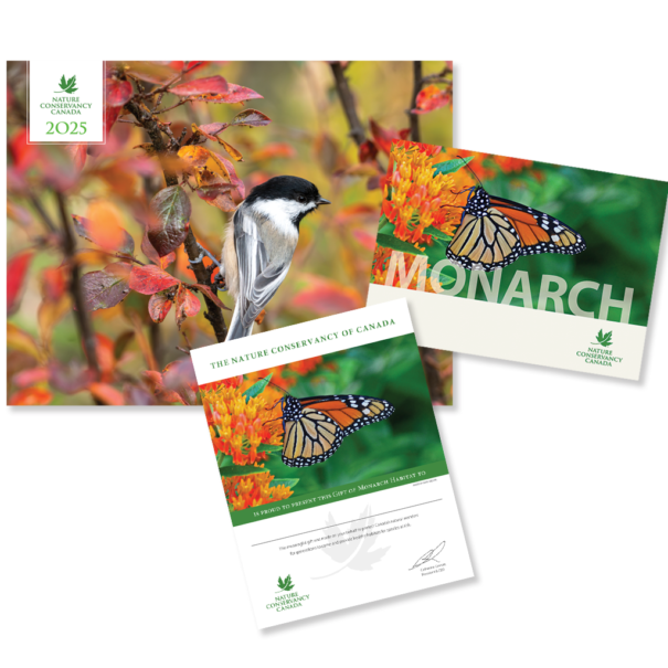 Monarch product composite