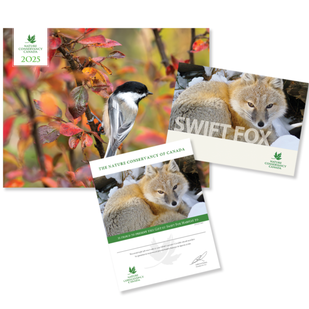 Swift Fox product composite