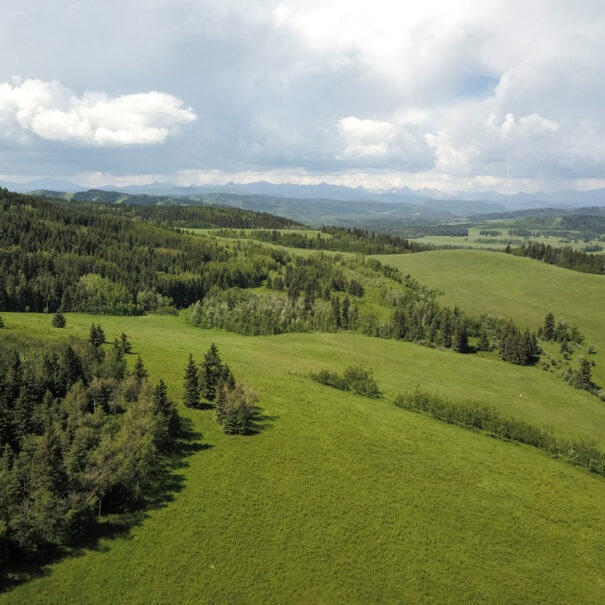 White Moose Ranch, Alberta