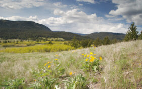 Lac du Bois Grasslands