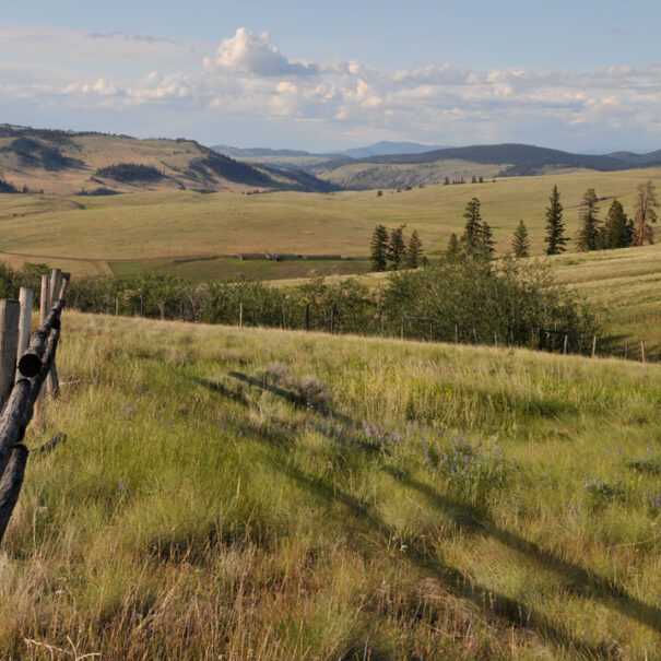 Frolek ranch landscape