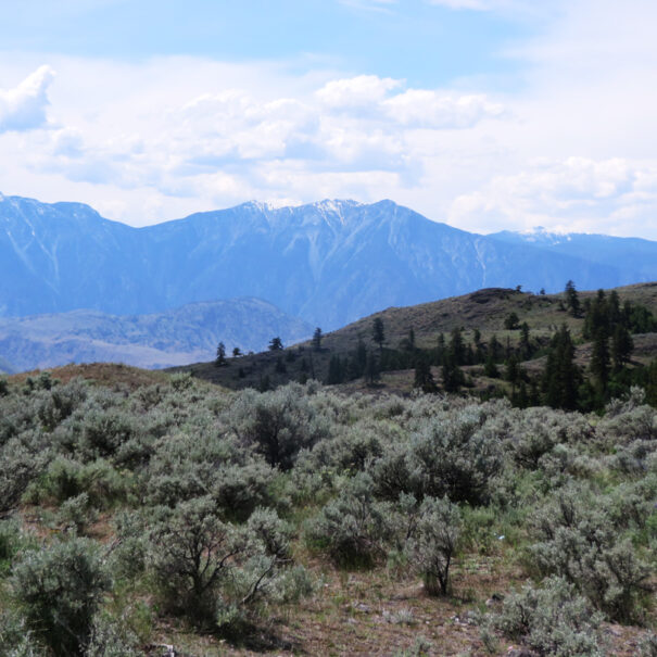 South Okanagan Similkameen Natural Area