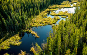 Birch River, Alberta