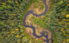 Boreal Wildlands, Ontario