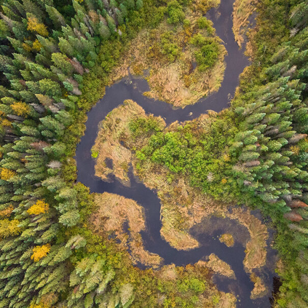 Boreal Wildlands, Ontario