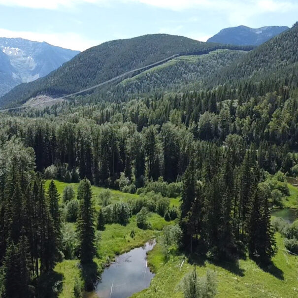 Morrissey Meadow, British Columbia