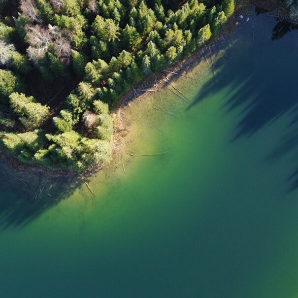 Boreal Wildlands, Ontario