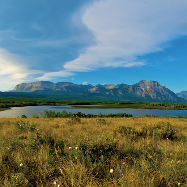 Waterton Park Front, Alberta