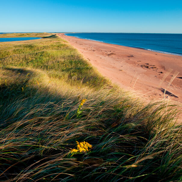 Conway Sandhills, Prince Edward Island