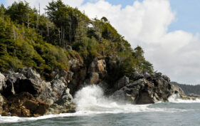 Clayoquot Island Preserve, British Columbia