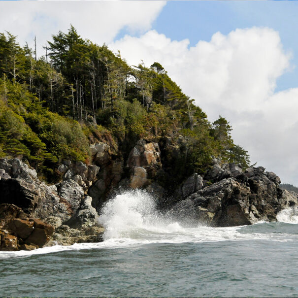 Clayoquot Island Preserve, British Columbia