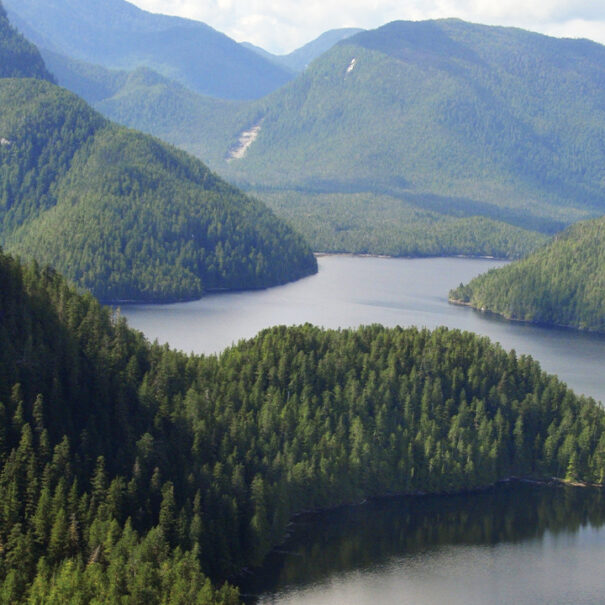 Great Bear Rainforest, British Columbia