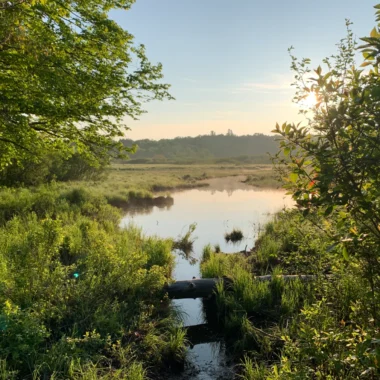Photo of Musquash Estuary